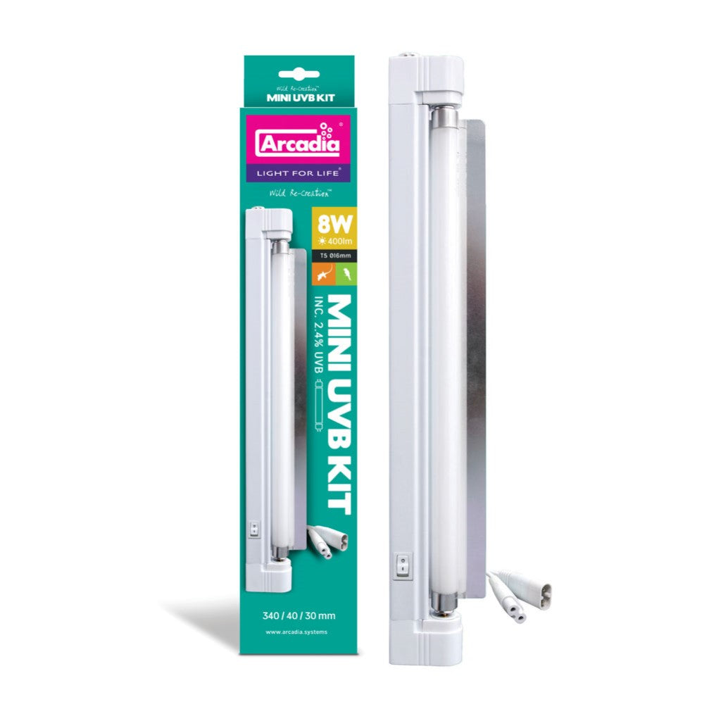 Arcadia Mini UVB Avian Light Kit